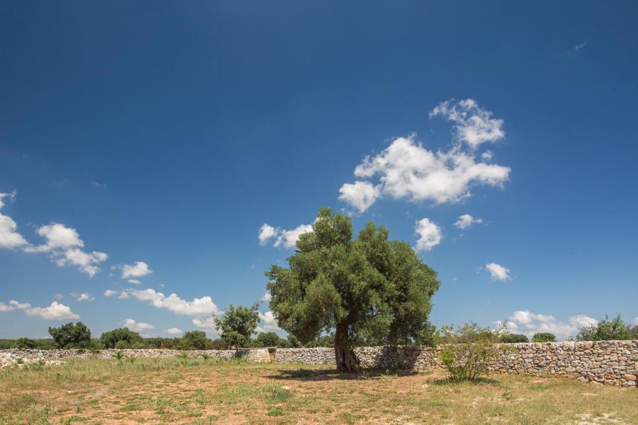 Masseria Castelluzzo سيغلي ميسابيكا المظهر الخارجي الصورة